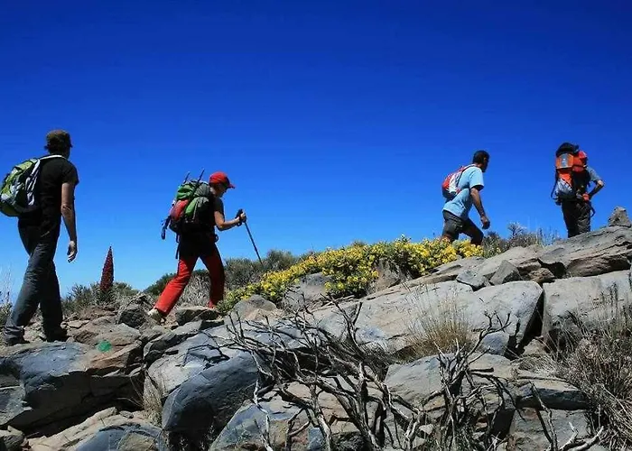 Lägenhet Lazaro 26 Terraza Con Vistas Al Mar Santa Úrsula